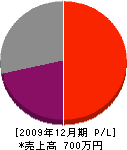 斉藤左官 損益計算書 2009年12月期
