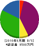 相山造園 貸借対照表 2010年6月期