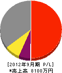 坪井電気商会 損益計算書 2012年9月期
