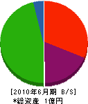 柳田建設 貸借対照表 2010年6月期