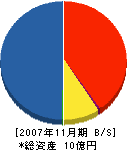 藤田建設工業 貸借対照表 2007年11月期