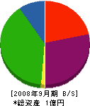 東川建設 貸借対照表 2008年9月期