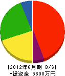 藤澤電設工業 貸借対照表 2012年6月期