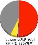 桜井さく井工業所 損益計算書 2012年12月期