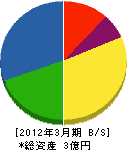 松澤電気工事 貸借対照表 2012年3月期