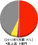 大道産業 損益計算書 2012年5月期