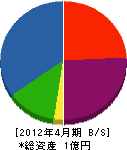 柴田建設 貸借対照表 2012年4月期