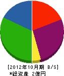 田村建設 貸借対照表 2012年10月期