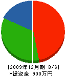 中川塗装店 貸借対照表 2009年12月期