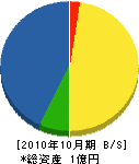 中日本造園土木 貸借対照表 2010年10月期