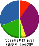 石野電設 貸借対照表 2011年6月期