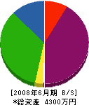 川崎電機 貸借対照表 2008年6月期