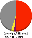 ニッソウ 損益計算書 2010年3月期