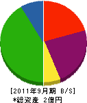 土子建材 貸借対照表 2011年9月期