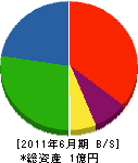 梶浦商事 貸借対照表 2011年6月期