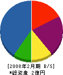 城ヶ崎産業 貸借対照表 2008年2月期