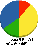 橋本電工 貸借対照表 2012年4月期