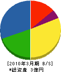 松澤電気工事 貸借対照表 2010年3月期