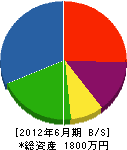 武蔵設備 貸借対照表 2012年6月期