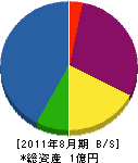 マルヤマ 貸借対照表 2011年8月期
