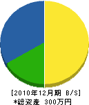 丸山工務店 貸借対照表 2010年12月期