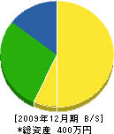 永田組 貸借対照表 2009年12月期