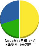 住川設備工業所 貸借対照表 2009年12月期 住川設備工業所 貸借対照表 2009年12月期