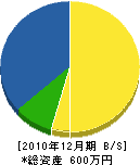 阿勝建業 貸借対照表 2010年12月期
