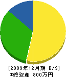 藤井塗装 貸借対照表 2009年12月期