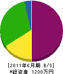 松島建設 貸借対照表 2011年6月期
