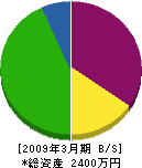 佐藤土建工業所 貸借対照表 2009年3月期
