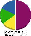 前田造園 貸借対照表 2008年7月期