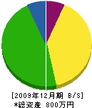 吉川塗装 貸借対照表 2009年12月期
