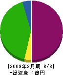丸松産業 貸借対照表 2009年2月期