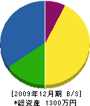 山田重機 貸借対照表 2009年12月期