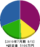 田辺工務店 貸借対照表 2010年7月期