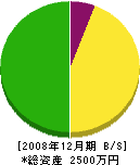 中村住宅設備 貸借対照表 2008年12月期