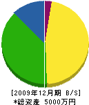日髙工務店 貸借対照表 2009年12月期