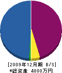 坂井エンジニアリング 貸借対照表 2009年12月期
