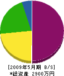 菅建設 貸借対照表 2009年5月期 菅建設 貸借対照表 2009年5月期
