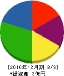 丸貴瀧澤材木店 貸借対照表 2010年12月期