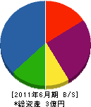 田部井電機 貸借対照表 2011年6月期