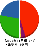岡山ハウス工業 貸借対照表 2009年11月期
