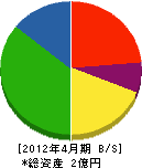桜井建設 貸借対照表 2012年4月期