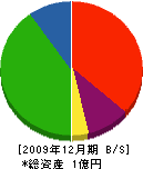 新川大清商店 貸借対照表 2009年12月期