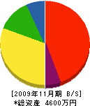 三立関東冷暖房 貸借対照表 2009年11月期