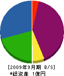ウエノ石材工業 貸借対照表 2009年9月期