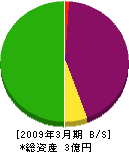 橋本工務店 貸借対照表 2009年3月期