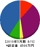 芦田興業 貸借対照表 2010年5月期