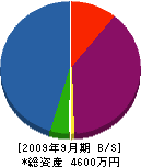 岸田建設 貸借対照表 2009年9月期
